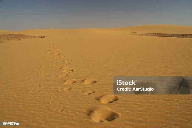 Szlaki W Pustyni - zdjęcia stockowe i więcej obrazów Azja Zachodnia - Azja Zachodnia, Badanie pulsu, Bliski
