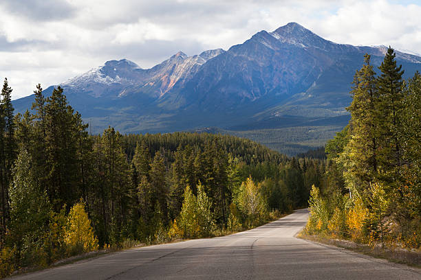 istock Road through Jasper National Park, Canada 184957186