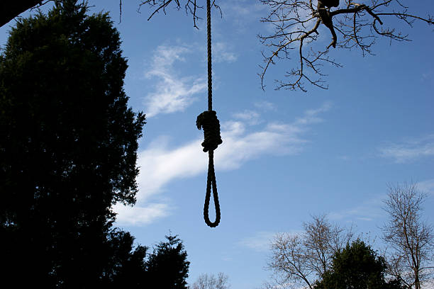 Hang 'Em High Horizontal Sillouette of a noose hanging from treeSimilar images: silhouette of the hanging noose stock pictures, royalty-free photos & images