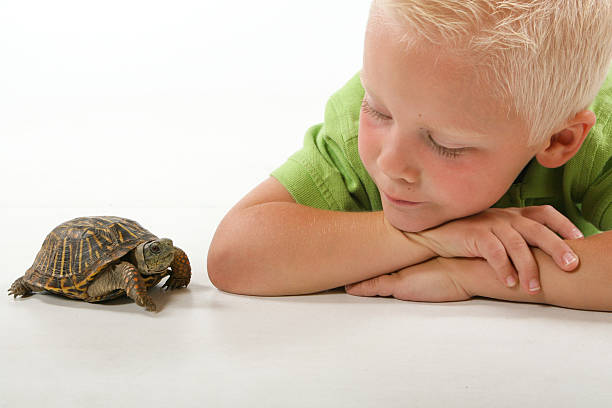 Niño con tortuga mascotas - foto de stock