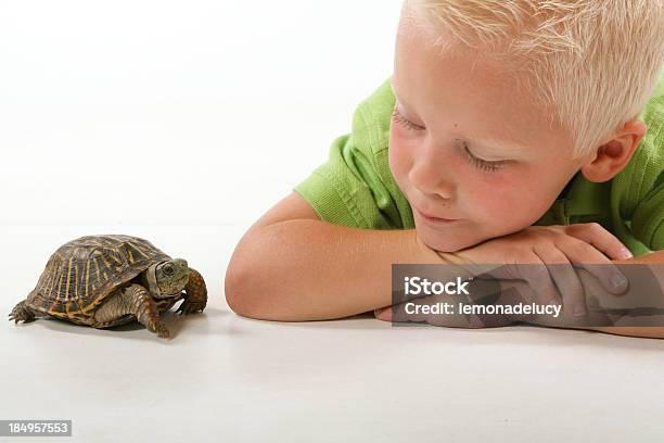 Dziecko Z Pet Turtle - zdjęcia stockowe i więcej obrazów Żółw - Żółw, Zwierzę domowe, Dziecko