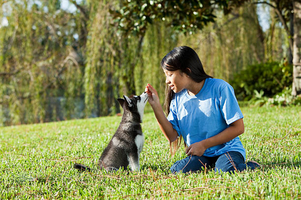 A girl with red braids holds a siberian husky pup outside in the winter. The puppy is two months old.