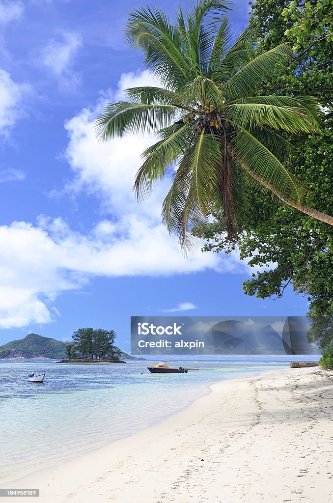 Seychelles Paesaggio marino - Foto stock royalty-free di Acqua