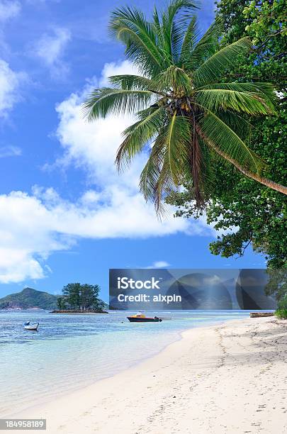 Seychelles Paesaggio Marino - Fotografie stock e altre immagini di Acqua - Acqua, Albero, Albero tropicale