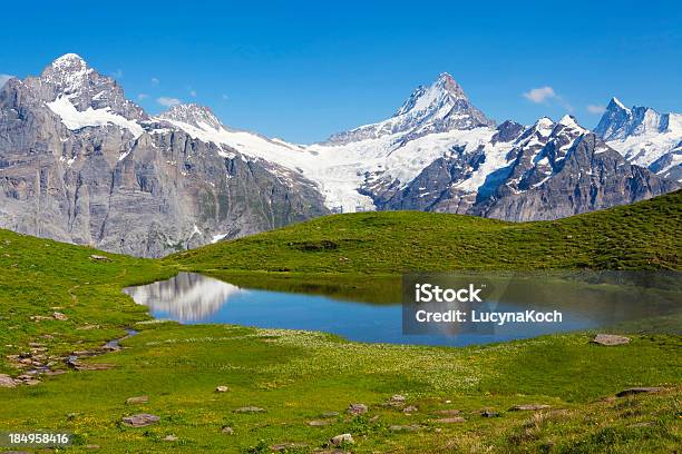 Die Berge Im Sommer Stockfoto und mehr Bilder von Alpen - Alpen, Berg, Blume