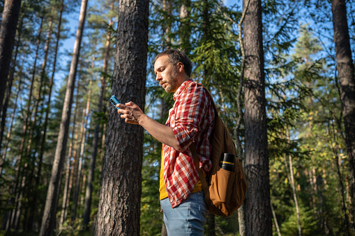 Thoughtful serious young hiker with tourist backpack standing in forest using mobile phone, trying to search GPS to find location in woods. Active man spends pastime, weekends exploring nature