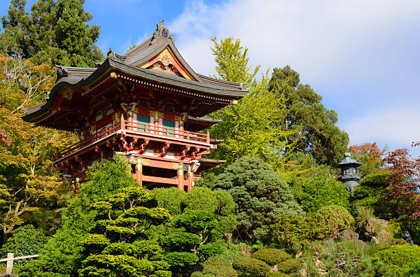 jardin de thé japonais au parc du golden gate à san francisco - japanese culture landscape landscaped ornamental garden photos et images de collection