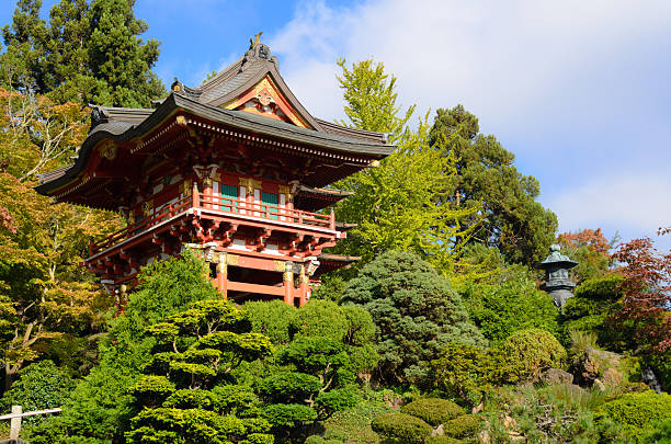 jardim de chá japonês no parque golden gate em san francisco - japanese culture landscape landscaped ornamental garden imagens e fotografias de stock