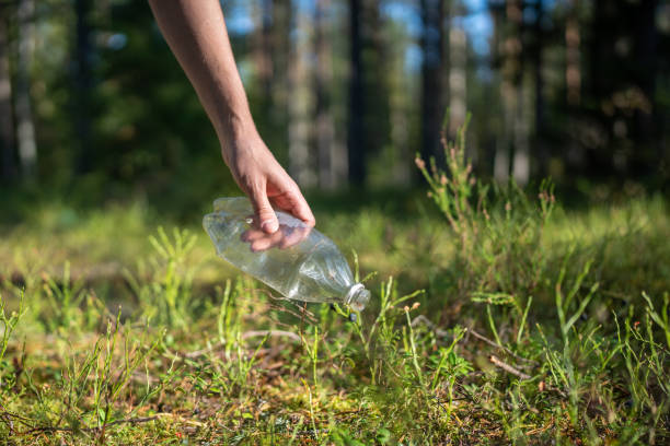 istock Eco activist in forest find trash left behind, picks up plastic bottle to preserve environment clean 1849586671