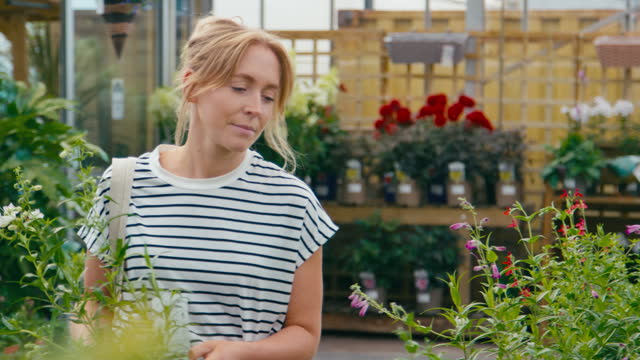 Woman inside greenhouse in garden centre choosing and buying red Echinacea plant - shot in slow motion