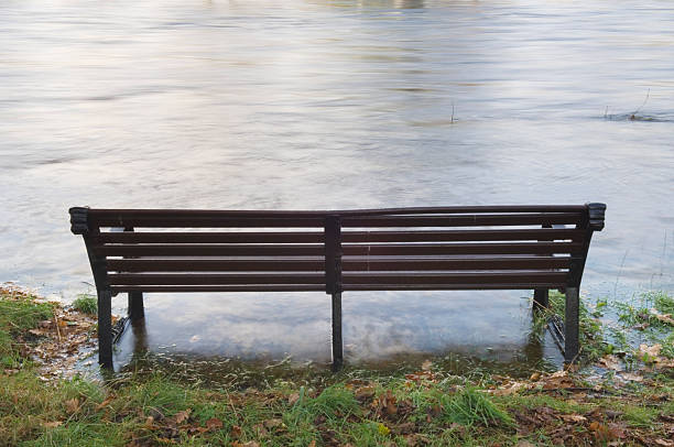 Picnic table near flooded low area in the park.