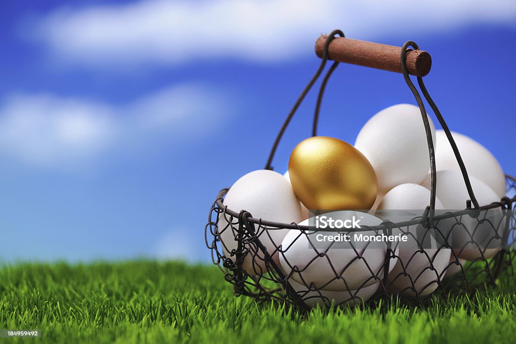 Huevos en una cesta - Foto de stock de Huevo - Etapa de animal libre de derechos