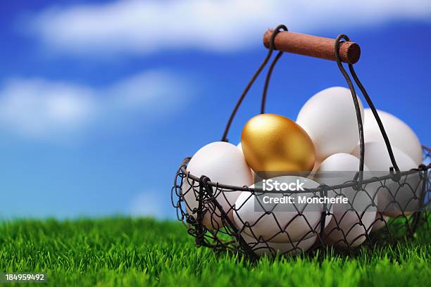 Huevos En Una Cesta Foto de stock y más banco de imágenes de Huevo - Etapa de animal - Huevo - Etapa de animal, Huevo de Pascua, Oro - Metal