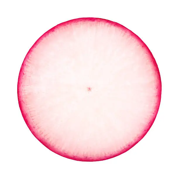 Photo of Radish portion on white