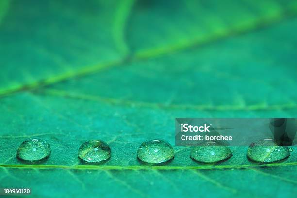 Wassertropfen Stockfoto und mehr Bilder von Bildhintergrund - Bildhintergrund, Bildkomposition und Technik, Blase - Physikalischer Zustand