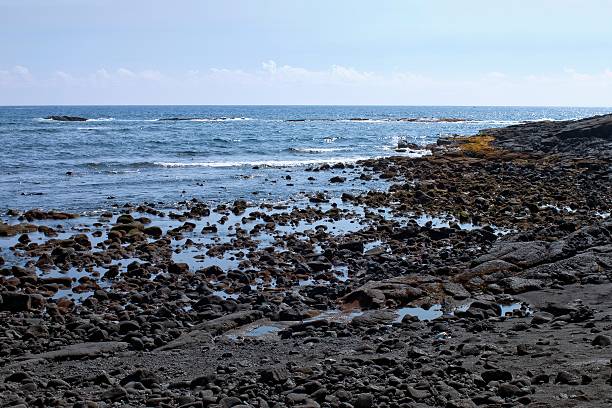 istock Black Lava Shoreline of Hawaii 184960259