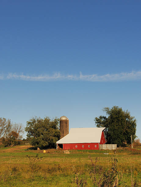 istock Iowa Farm Classic Red Barn and Silo with Pasture 184960372