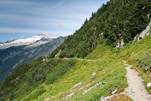 cascata di trail - north cascades national park awe beauty in nature cloud foto e immagini stock