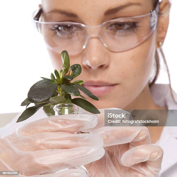 Foto de Biotecnologia e mais fotos de stock de Adulto - Adulto, Agricultura, Analisar