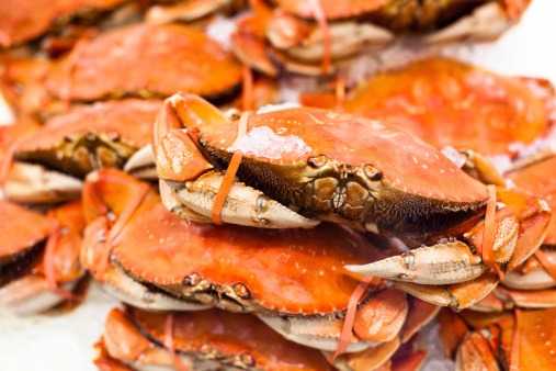 Fresh dungeness crab on ice in a supermarket glass display.