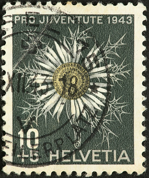 istock flower on old Swiss postage stamp 184962520