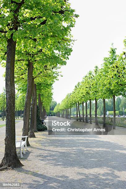 Foto de Avenue De Árvores Em Um Jardim Clássico e mais fotos de stock de Alemanha - Alemanha, Arborizado, Avenida