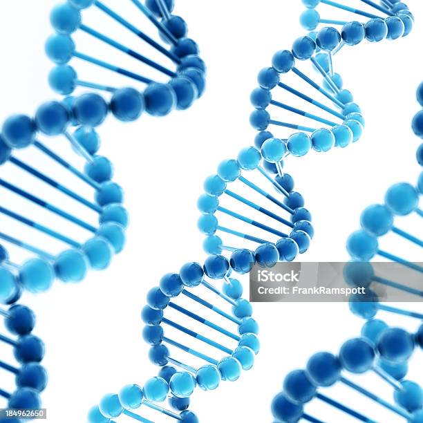 Foto de Molécula De Dna Praça e mais fotos de stock de DNA - DNA, Fundo Branco, Modelo de Hélice