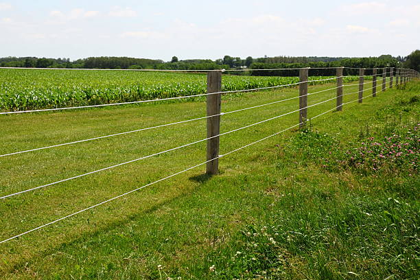 Electric Fence An electric fence on a farm. electric fence stock pictures, royalty-free photos & images