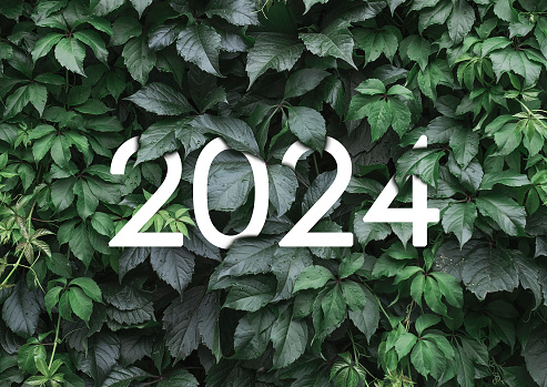 2024 New year white text hidden in green leaves.