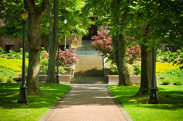 istock Brick walkway leading to Old Main at Western Washington University 184963040