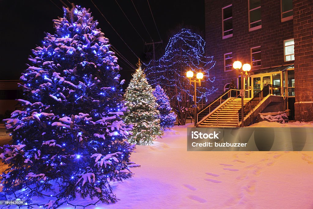 Décoré Noël arbres devant un immeuble de bureaux de la ville - Photo de Arbre libre de droits