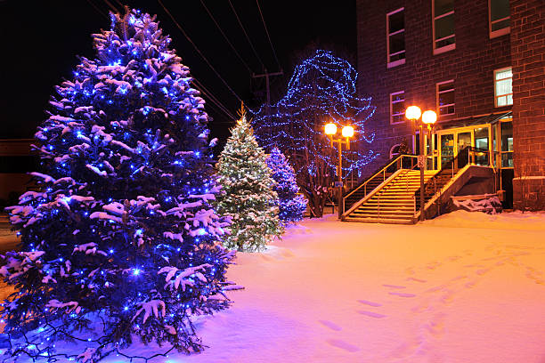 istock Decorated Christmas Trees in front of a City Office Building 184963509