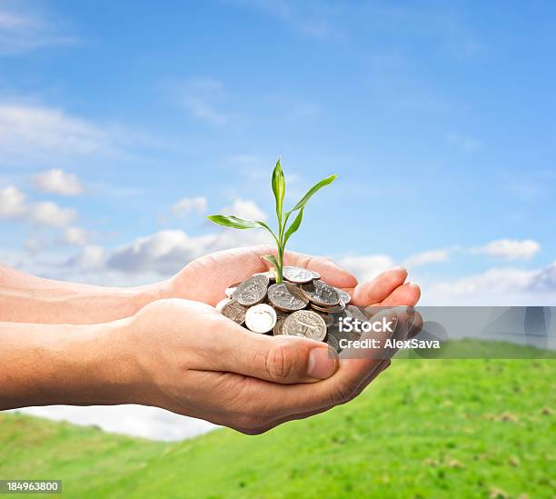 Dos Manos Sosteniendo Una Planta Crece En Monedas Foto de stock y más banco de imágenes de Ahorros - Ahorros, Árbol, Abundancia