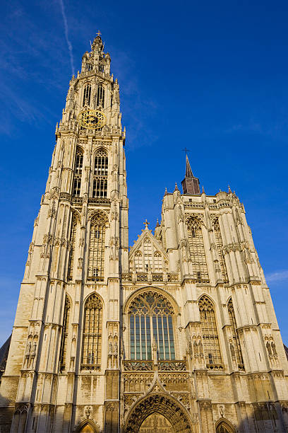 антверпен, бельгия - cathedral of our lady стоковые фото и изображения