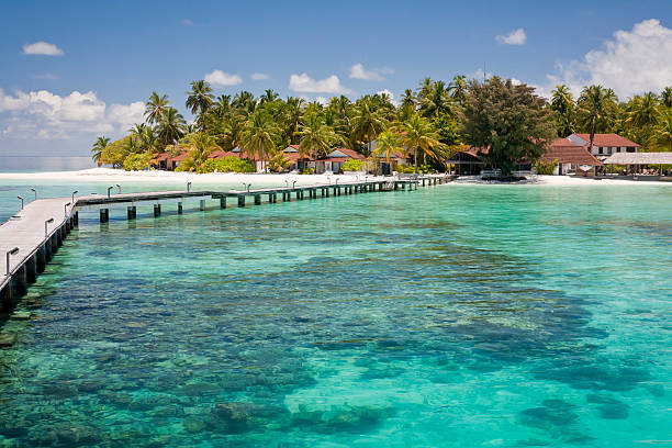 istock Touristic resort in Maldives 184964413