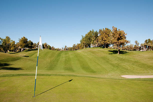 istock Lush green golf course in the Palm Springs desert 184964510