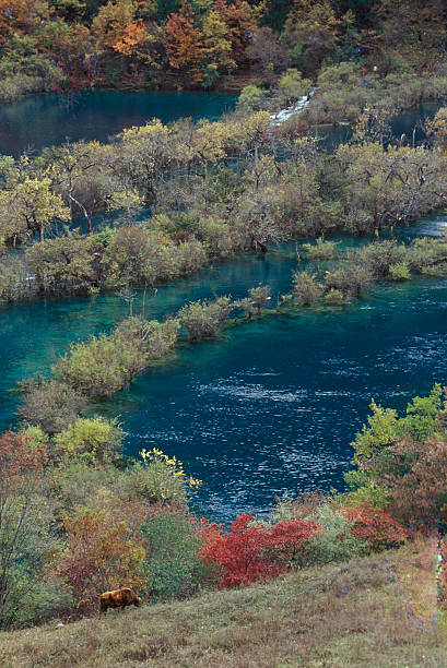 Jiuzhaigou Autumn