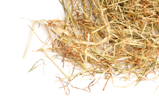 Hay  spread over a white ackground.