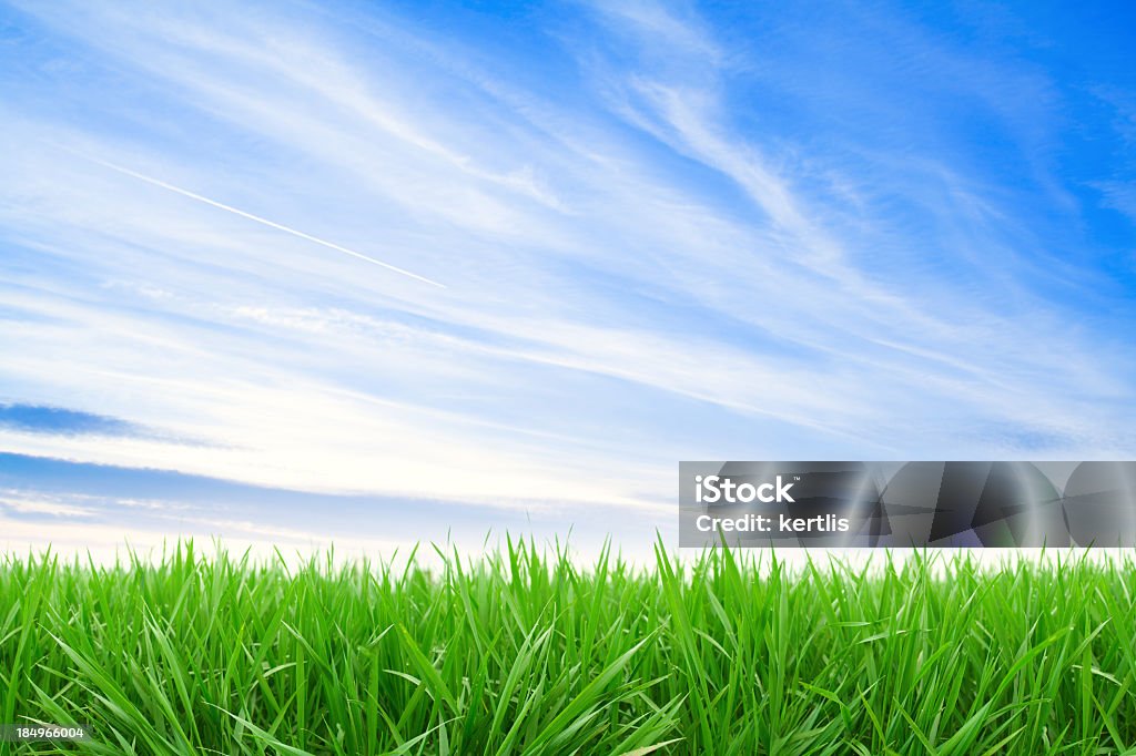 緑の芝生、ブルースカイ - 完璧さのロイヤリティフリーストックフォト
