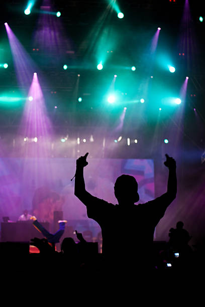 istock Fans cheering at the concert 184966022