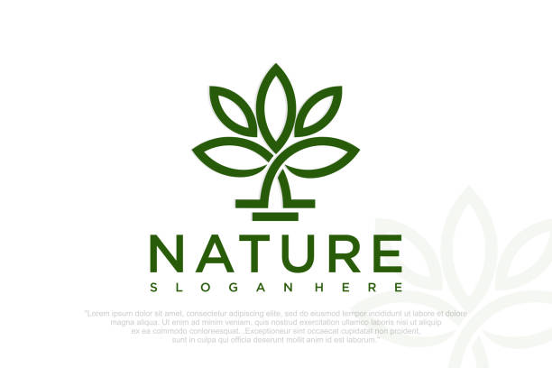 ilustrações de stock, clip art, desenhos animados e ícones de abstract elegant tree flower line logo icon vector design. vector illustration - beleza natural