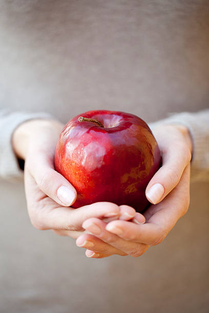 istock Healthy food 184966383