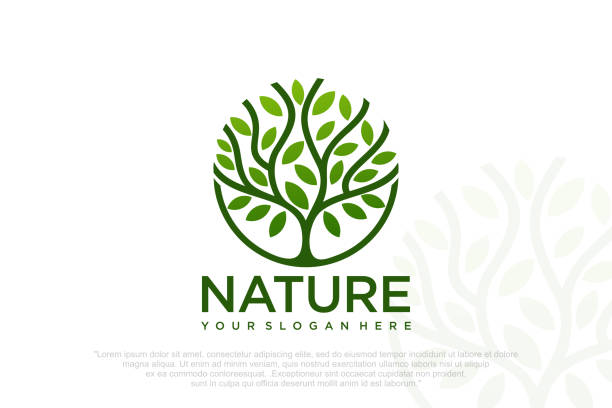 ilustrações, clipart, desenhos animados e ícones de árvore abstrata da vida logotipo. símbolos botânicos da natureza vegetal . ilustração vetorial . - tratamento botânico de balneário