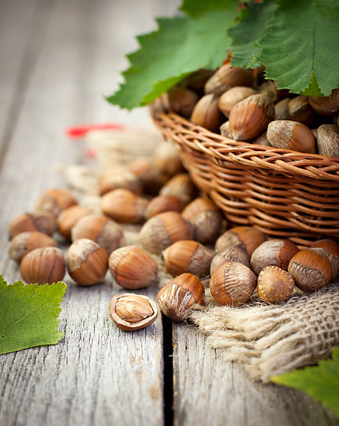 hazelnuts basket on top of wood table - hazel tree bildbanksfoton och bilder