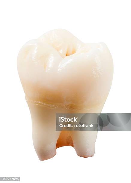 Weisheit Zahn Oder Dritte Molar Stockfoto und mehr Bilder von Buckel - Buckel, Fotografie, Gesundheitswesen und Medizin