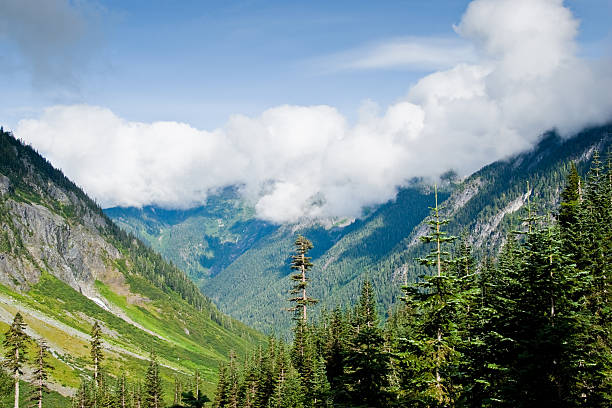 cascade river valley - north cascades national park awe beauty in nature cloud stock-fotos und bilder