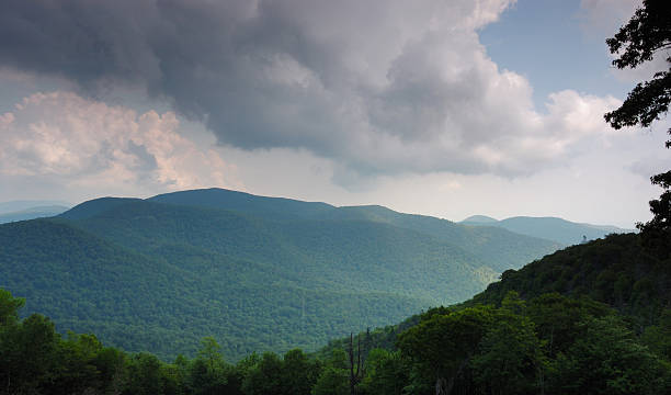 primavera de storm - treelined tree shenandoah river valley blue ridge mountains imagens e fotografias de stock