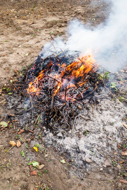 istock fire from twigs and fallen leaves at garden 1849681379