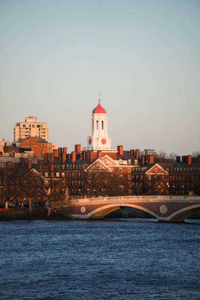istock Harvard University  in Boston USA 1849682204