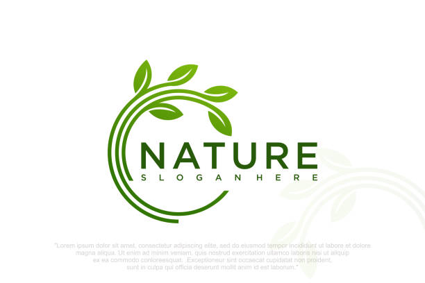 logo drzewa nowoczesny projekt koncepcyjny. ilustracja wektorowa - drzewo życia stock illustrations